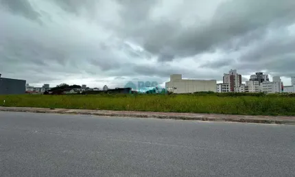 Terreno plano com 643m², viabilidade para 12 andares, Pagani, Palhoça, SC