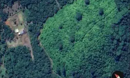 Fazenda à venda no Centro, Antonina 