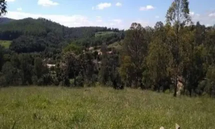 Lote / terreno de bairro para vender no bairro santo afonso em betim