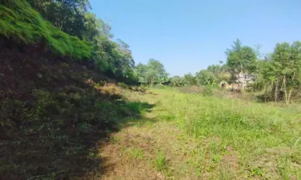 Terreno à venda na Rua Cidade de Urutaí, 183, Profipo, Joinville, 2818 m2 por R$ 600.000