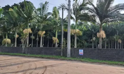 Terreno à venda na Rua Morretes, 1250, Praia do Ervino, São Francisco do Sul, 2500 m2 por R$ 600.000
