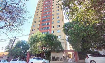 Apartamento 3 dormitorios. Sol da manhã. Londrina - PR
