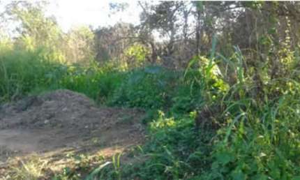 Terreno à venda na Rua Guarapina, Bananal (Ponta Negra), Maricá, 7128 m2 por R$ 2.000.000
