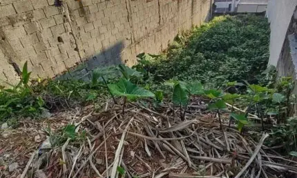 Jardim das Flores TERRENO Próximo Piraporinha Socorro excelente rua