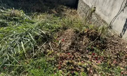 Terreno à venda no Ribeirão, Ilhabela 