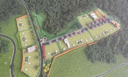 TERRENO com fundos para o Bosque no Alphaville Paraná  Campo Largo
