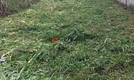Terreno, Cibratel II, Itanhaém - R$ 120 mil, Cod: 1327