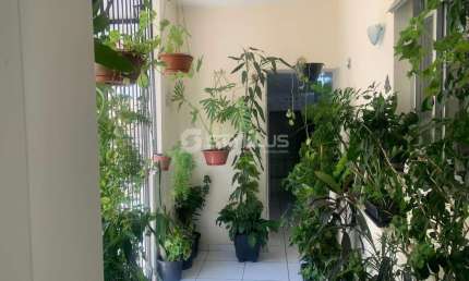 Apartamento com 3 quartos à venda na Rua São Brás, Todos os Santos, Rio de Janeiro, 64 m2 por R$ 300.000