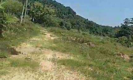 Sítio à venda, 145200 m² por R$ 800.000,00 - Zona Rural. - Juquiá/SP