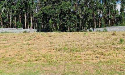 Terreno à venda, 1000 m² por R$ 276.500,00 - Condomínio Reserva São José - Salto de Pirapora/SP
