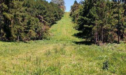 Chácara à venda, 12000 m² por R$ 260.000,00 - Zona Rural - Tijucas do Sul/PR