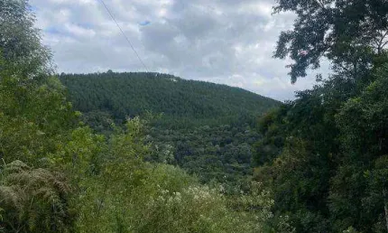 Fazenda à venda, 948000 m² por R$ 2.574.000,00 - Área Rural de Campo Largo - Campo Largo/PR