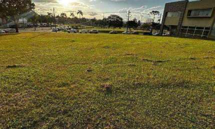 Terreno à venda, 904 m² por R$ 2.790.000,00 - Alphaville Graciosa - Pinhais/PR