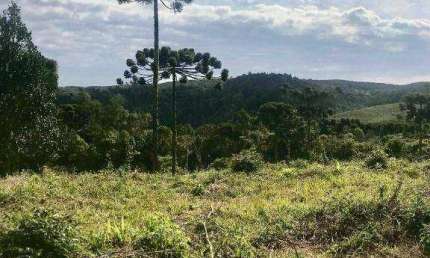 Chácara à venda, 20000 m² por R$ 200.000,00 - Centro - Bocaiúva do Sul/PR
