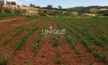 Terreno comercial à venda na Estrada Municipal Francisco Quesada Dos Santos, 1600, Caioçara, Jarinu