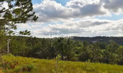 Terreno À Venda, 1718 M² Por R$ 240.000,00 - Maracanã - Jarinu/Sp