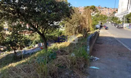 Terreno 6.840m2  V. Andrade, São Paulo - R$ 13.6 mi, Cod: 14214