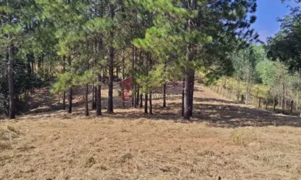 TERRENO À VENDA PARQUE ESPELHO D`ÁGUA - BAIRRO MATO DENTRO - JUNDIAÍ/SP