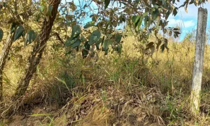Lote de 5.000m² em condomínio de alto padrão, jundiaí - sp