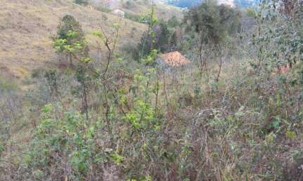 TERRENO PARA VENDA EM CONDOMÍNIO DE ALTO PADRÃO, NO BAIRRO IVUTURUCAIA - PARQUE DOS MANACÁS.