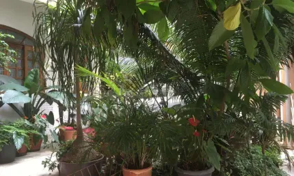 Casa com 4 quartos à venda na Rua Zaquias Muzaiel, 0, --, Cidade Luiza, Jundiaí