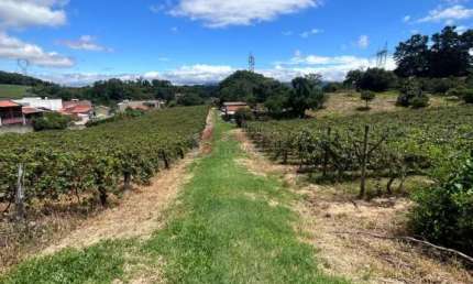 ÁREA RURAL PARA VENDA NO BAIRRO TRAVIÚ - JUNDIAÍ/SP