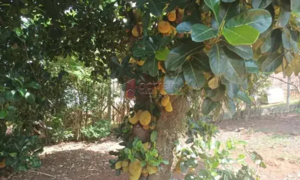 TERRENO À VENDA NO BAIRRO TIMBARÁ EM CAMPO LIMPO PAULISTA/SP