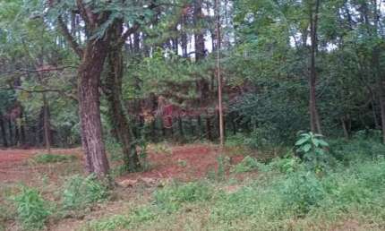 Terreno comercial para alugar na Avenida Humberto Cereser, --, Jundiaí Mirim, Jundiaí