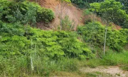 Terreno à venda no Águas Claras, Brusque 