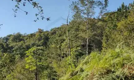 Terreno à venda no Primeiro de Maio, Brusque 