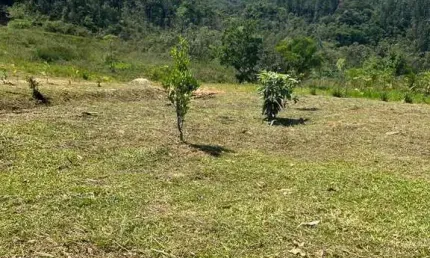 Fazenda à venda no Lageado Alto, Guabiruba 