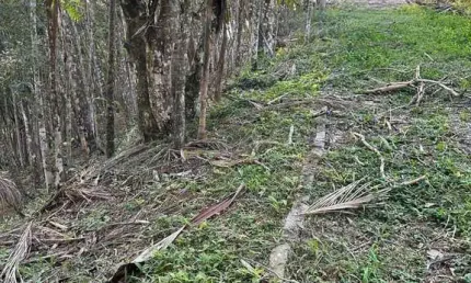 Terreno à venda no Azambuja, Brusque 