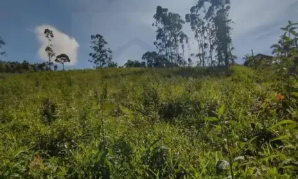 Terreno à venda no Limoeiro, Itajaí 