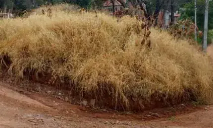 Terrenos para venda em Atibaia no bairro Jardim São Felipe
