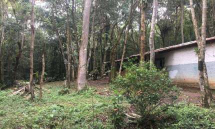 Chácara com 1 dormitório à venda, 7211 m² por R$ 280.000,00 - Tatetos - São Bernardo do Campo/SP