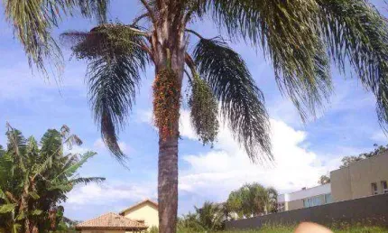Melhor terreno à venda, topografica plana, 1023 m² por r$ 900.000 - parque reserva fazenda imperial - sorocaba/sp