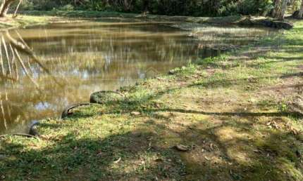 Vendo linda Chacára no Cipó, com 43 mil m², 3 dormitórios e 1 suíte excelente!