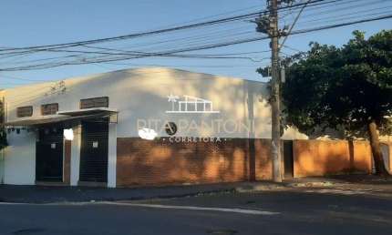 Salão Comercial - Ribeirão Preto - Quintino Facci I - Região Norte