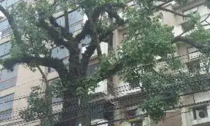 Apartamento com 3 quartos à venda na rua anita garibaldi, 1160, mont serrat, porto alegre por r$ 1.060.000