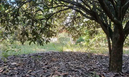 Terreno à venda na Rua Das Flamboyantes, 903, Portal Pirapora, Salto de Pirapora