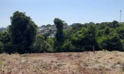 Terreno à venda na Rua Dos Juriti, Planalto, Pato Branco