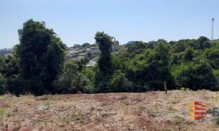 Terreno à venda na Rua Dos Juriti, Planalto, Pato Branco