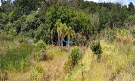 Terreno com 12.500 m para venda em campo limpo paulista