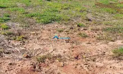 Vende-se lote de 600 m2, de alto padrão, com fundo para mata, no condomínio reserva marajoara - jundiai