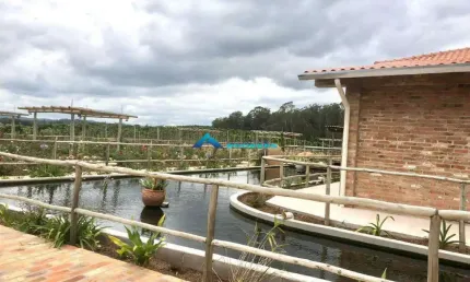 Área a Venda com 117.000.00 m² contando com uma Parreira com uvas especiais c/ infraestrutura