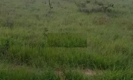 terreno em condomínio fechado em caçapava com 1200 metros