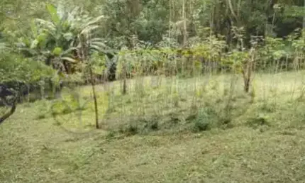 Chácara / sítio com 3 quartos à venda no Jardim Guaripocaba, Santo André 