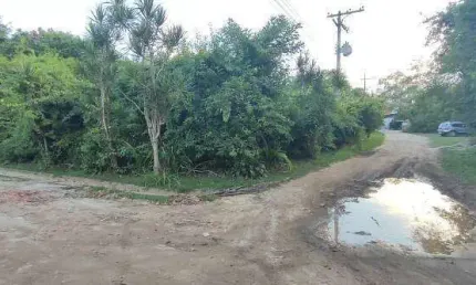 Terreno à venda na Praia do Itamambuca, Ubatuba 