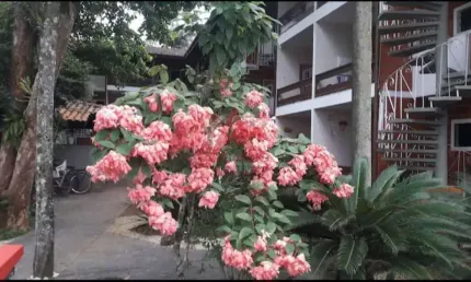 APARTAMENTO BEM LOCALIZADO, A VENDA NO CENTRO DE UBATUBA - SP