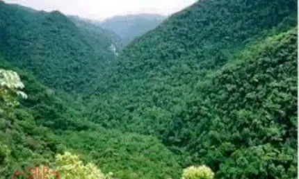 Área Reflorestamento FAZENDA À VENDA DE PARA COMPENSAÇÃO DE  RESERVA LEGAL, NO INTERIOR DE SÃO PAULO